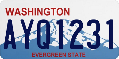 WA license plate AYQ1231