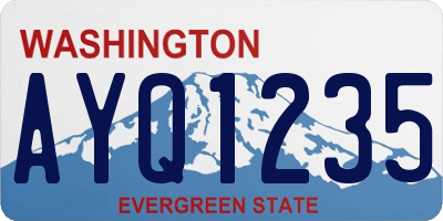WA license plate AYQ1235
