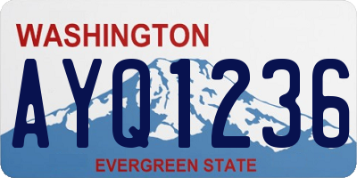 WA license plate AYQ1236