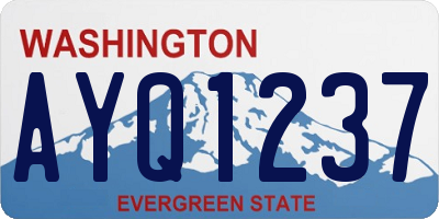 WA license plate AYQ1237