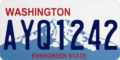 WA license plate AYQ1242