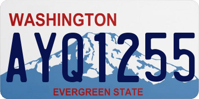WA license plate AYQ1255