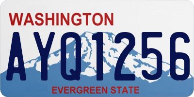 WA license plate AYQ1256