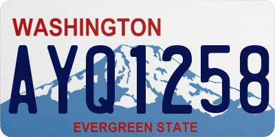 WA license plate AYQ1258