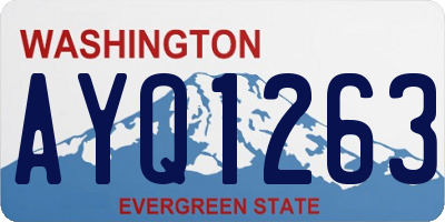 WA license plate AYQ1263