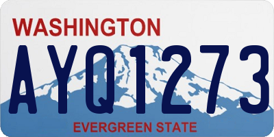 WA license plate AYQ1273