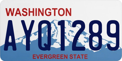 WA license plate AYQ1289