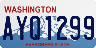 WA license plate AYQ1299
