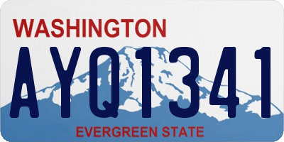 WA license plate AYQ1341