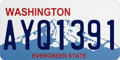 WA license plate AYQ1391