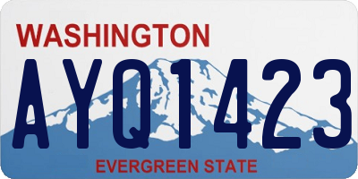 WA license plate AYQ1423
