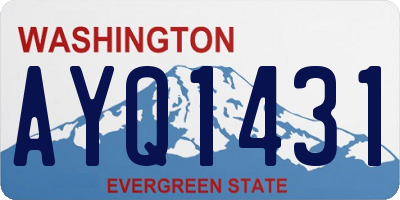 WA license plate AYQ1431