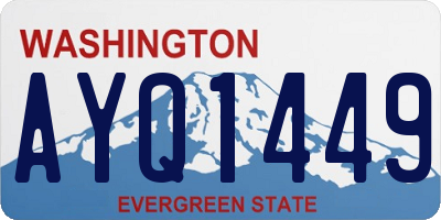 WA license plate AYQ1449