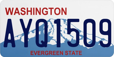 WA license plate AYQ1509