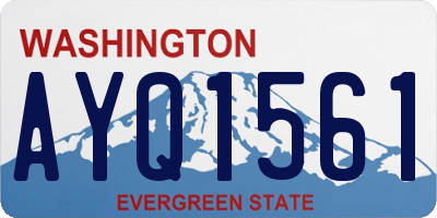 WA license plate AYQ1561