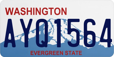 WA license plate AYQ1564