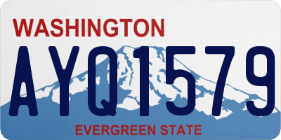 WA license plate AYQ1579