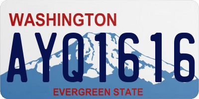 WA license plate AYQ1616