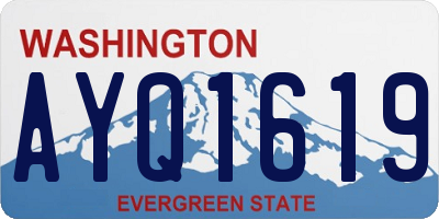 WA license plate AYQ1619