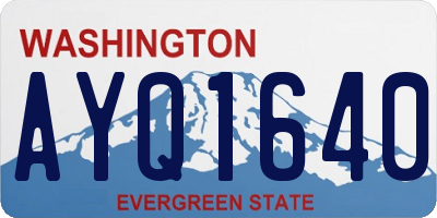 WA license plate AYQ1640