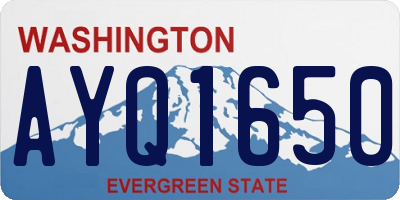 WA license plate AYQ1650