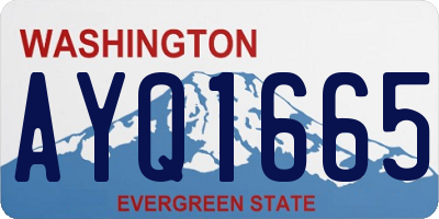 WA license plate AYQ1665