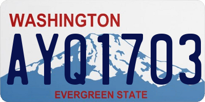 WA license plate AYQ1703