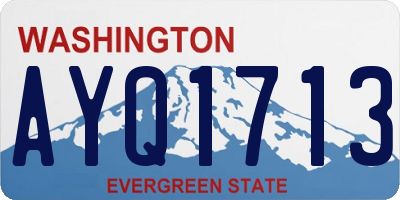 WA license plate AYQ1713