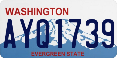 WA license plate AYQ1739