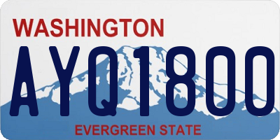 WA license plate AYQ1800