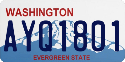 WA license plate AYQ1801