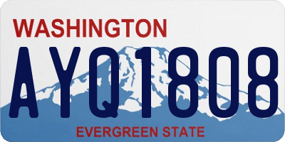 WA license plate AYQ1808