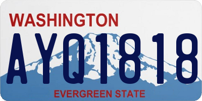 WA license plate AYQ1818