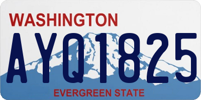 WA license plate AYQ1825