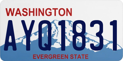 WA license plate AYQ1831