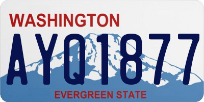 WA license plate AYQ1877