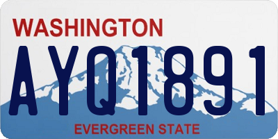 WA license plate AYQ1891