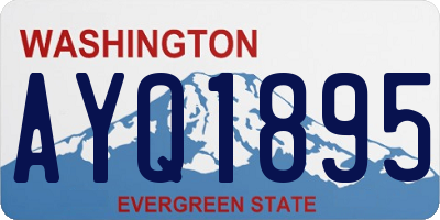 WA license plate AYQ1895