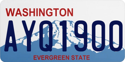 WA license plate AYQ1900