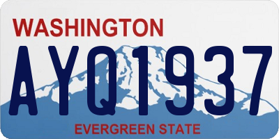 WA license plate AYQ1937