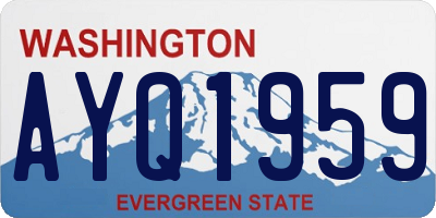 WA license plate AYQ1959