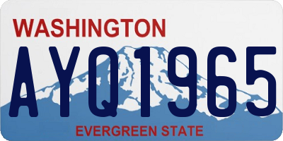 WA license plate AYQ1965