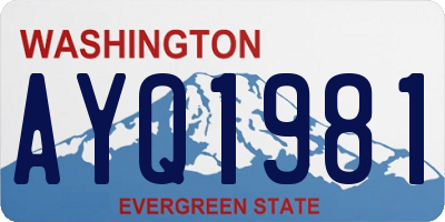 WA license plate AYQ1981