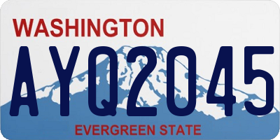 WA license plate AYQ2045