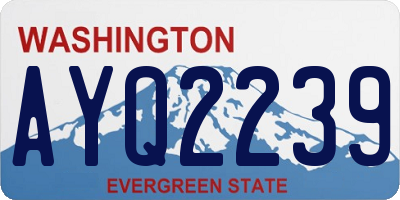 WA license plate AYQ2239