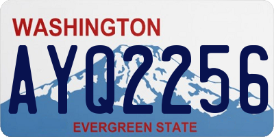 WA license plate AYQ2256