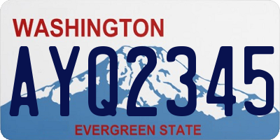 WA license plate AYQ2345