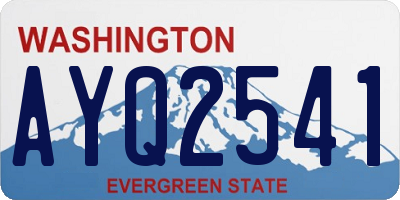 WA license plate AYQ2541