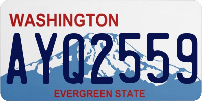 WA license plate AYQ2559