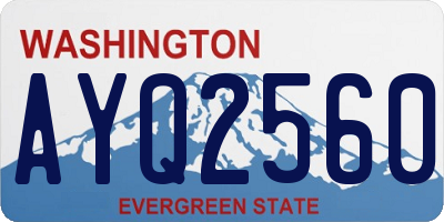 WA license plate AYQ2560